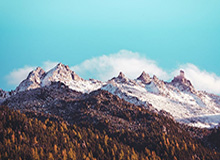 华体会体育-打花了！姜至鹏角球开出，本科维奇力压后卫头球抢点完成梅开二度